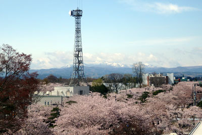 c0050264_00071490.jpg