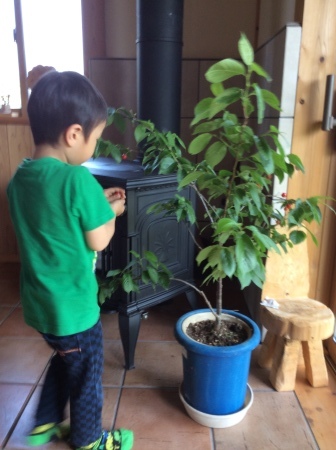 a0134767_10204217.jpeg