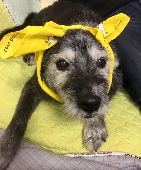 f0389169_23502662.jpeg