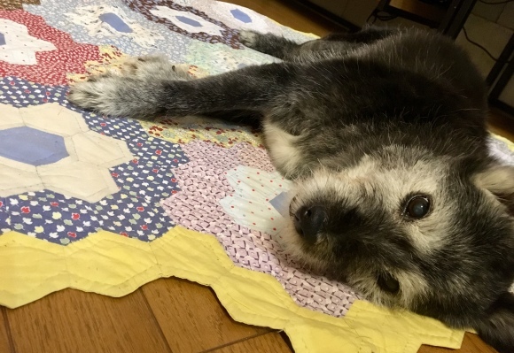 f0389169_23513185.jpeg