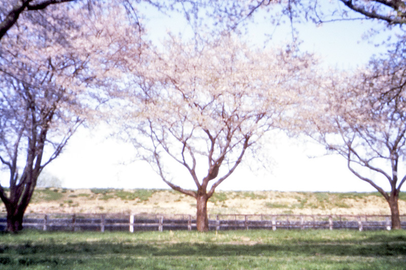f0052971_23131156.jpg