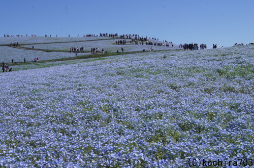 e0181373_21371597.jpg