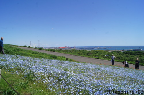 e0181373_21373499.jpg