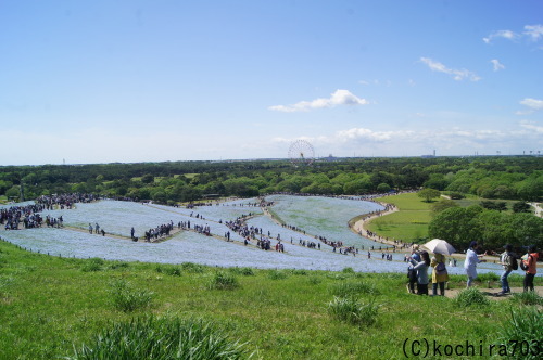 e0181373_21374778.jpg