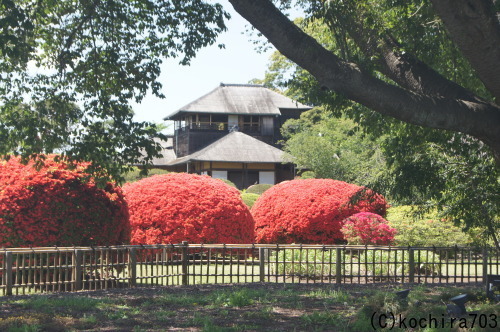 e0181373_21394609.jpg
