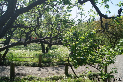 e0181373_21414008.jpg