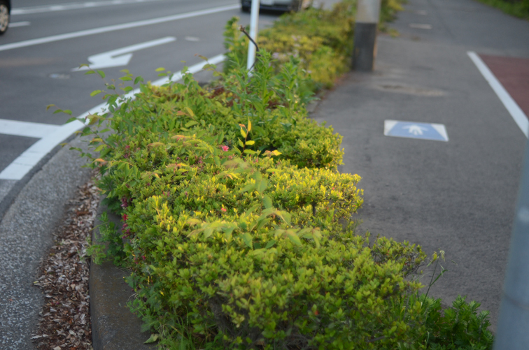 “今日”という日_b0194880_03384296.jpg