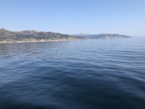 f0333882_20094189.jpeg