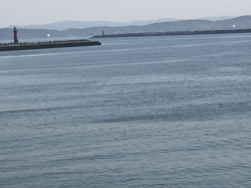 f0333882_20115095.jpeg