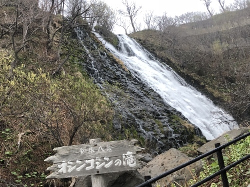 f0333882_20270048.jpeg