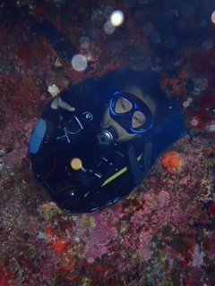 f0144385_20231346.jpg