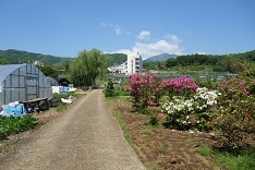 d0183387_12533940.jpg