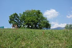 d0183387_22431944.jpg