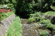 d0183387_23295167.jpg