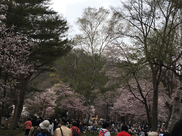 a0309389_15132465.gif