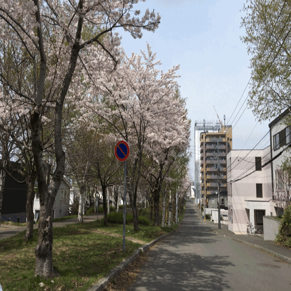 a0309389_15210665.gif