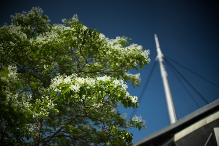 d0353489_20401085.jpg
