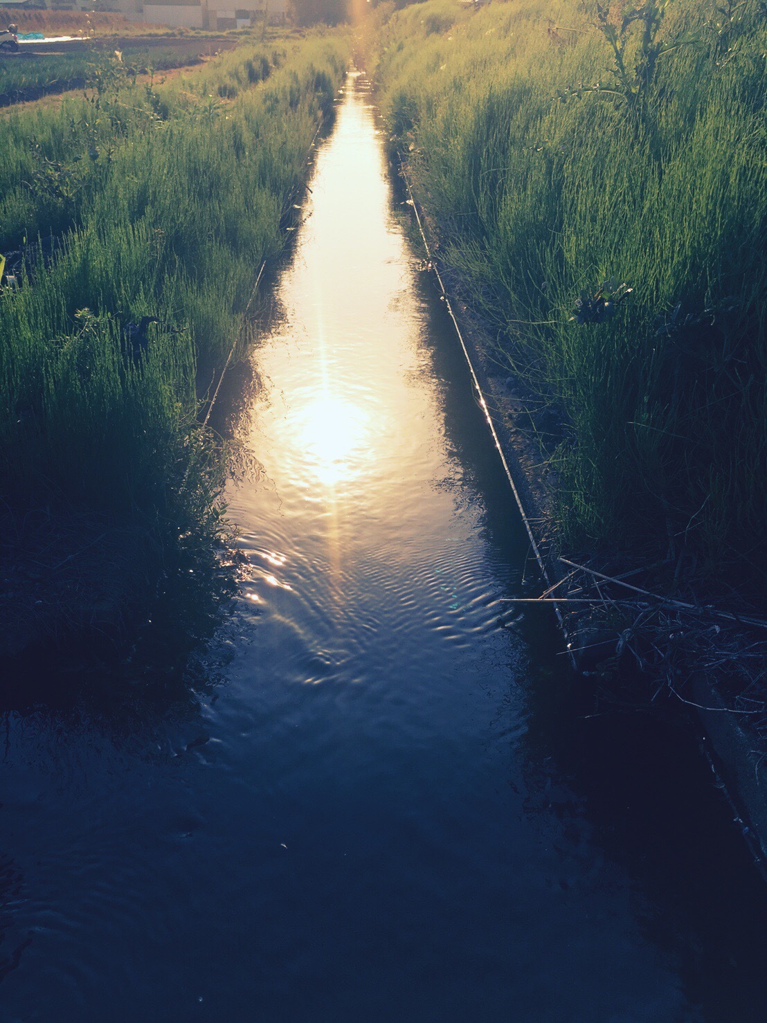 a0129492_17061444.jpeg