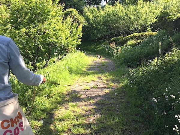 d0343297_20062178.jpeg