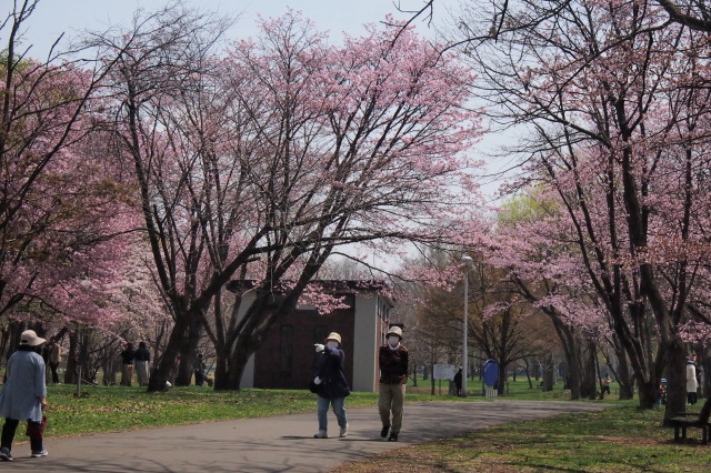 c0360399_21305758.jpg