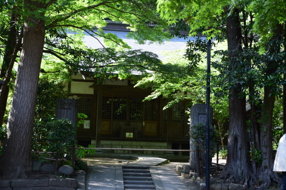 a0288500_10363534.jpg
