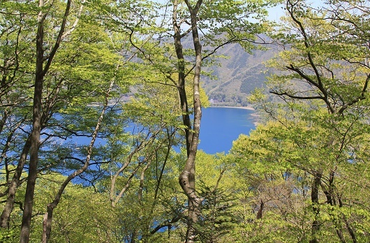 a0158702_20411339.jpg