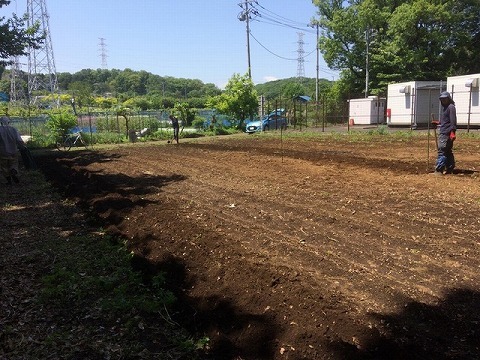 e0270403_21411723.jpg