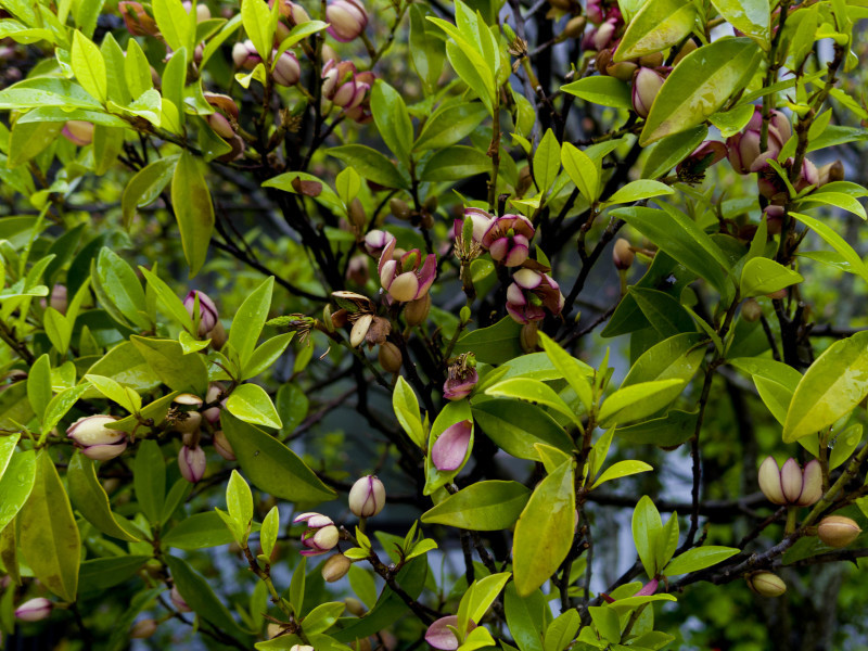f0083903_15191259.jpg