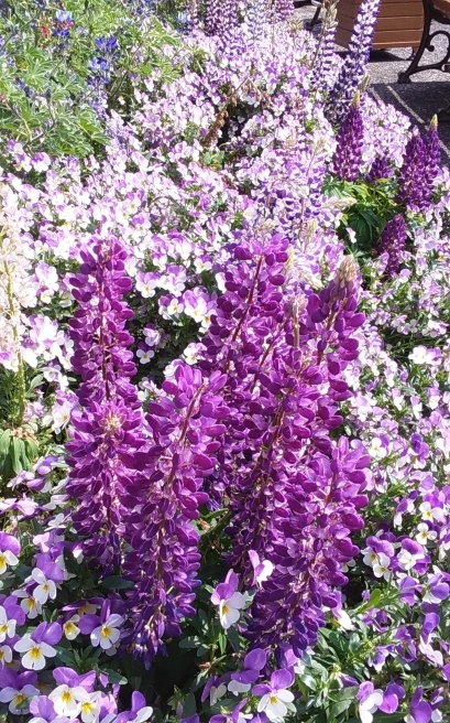 c0067206_11323520.jpg