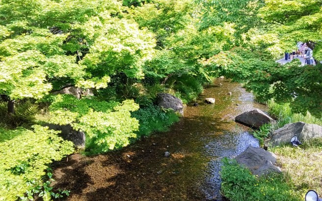 c0067206_15540330.jpg
