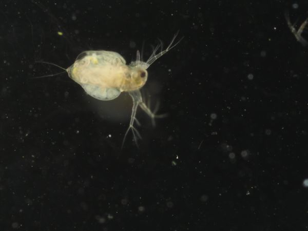 c0164709_07240591.jpg