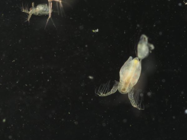 c0164709_07240593.jpg