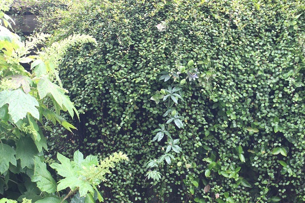 c0178009_15093525.jpg