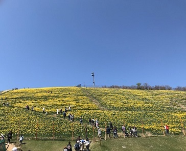 b0229910_16105250.jpg