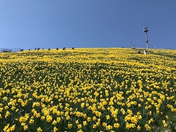 b0229910_16184236.jpg