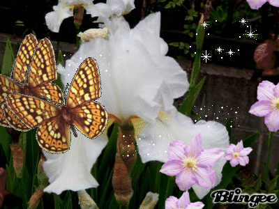 b0352112_20062833.gif