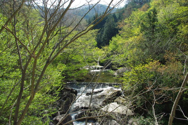 d0341514_21313948.jpg