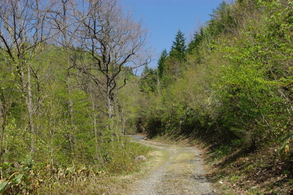 d0341514_21321410.jpg