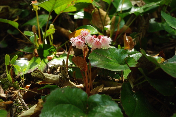 d0341514_21462527.jpg