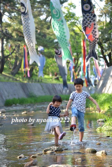 e0365414_20545257.jpg