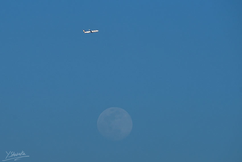 f0344614_11492970.jpg