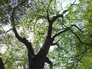 c0359615_07581982.jpg