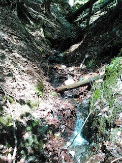 c0359615_07593217.jpg