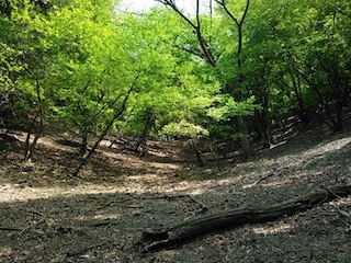 c0359615_08032348.jpg