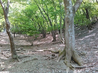 c0359615_08034423.jpg
