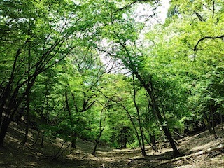 c0359615_08040522.jpg