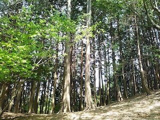 c0359615_08042174.jpg
