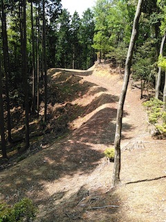 c0359615_08043410.jpg