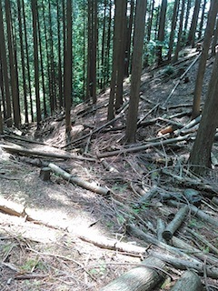 c0359615_08045325.jpg