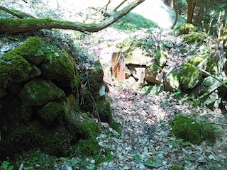 c0359615_08050922.jpg
